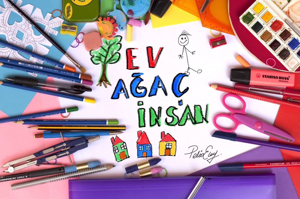 Resim Analizi Ev-Ağaç-İnsan&nbsp;Testi